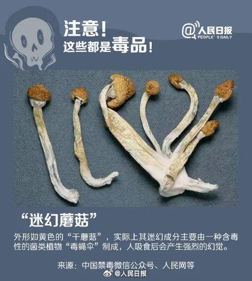 下载 (9).jpg